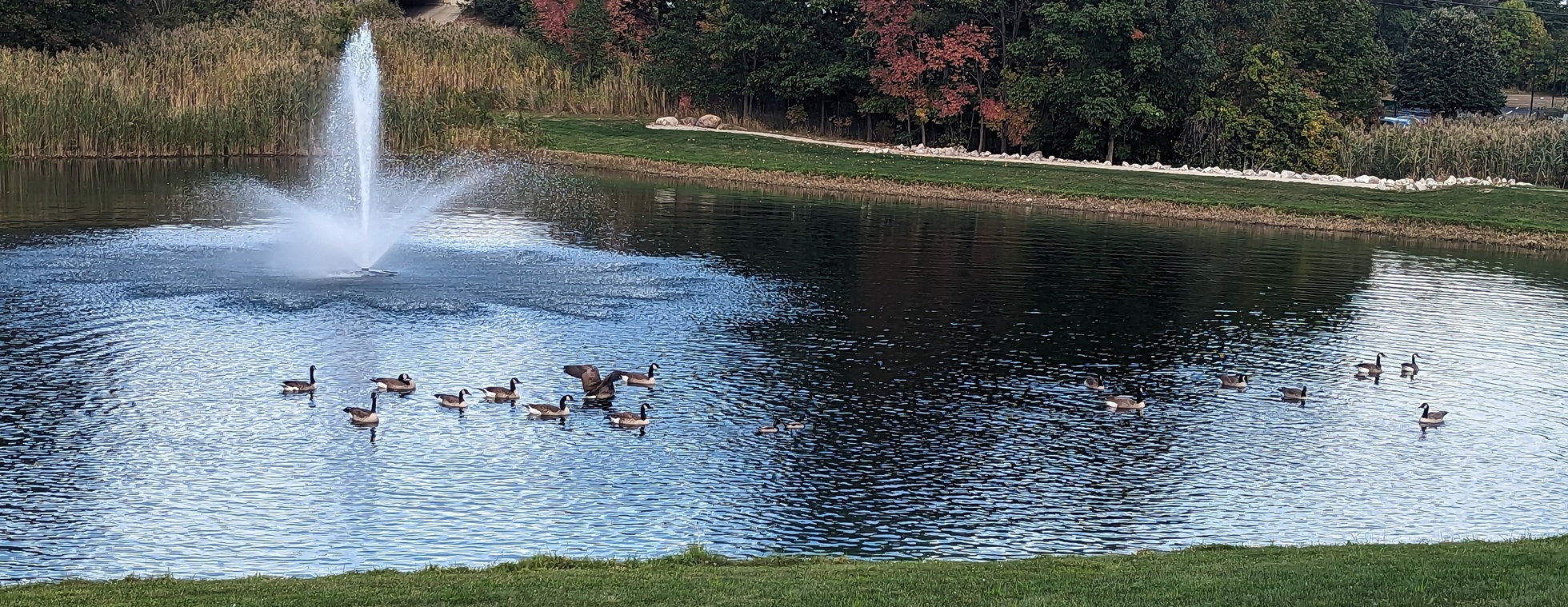 Stewart's Fly Fishing Class
